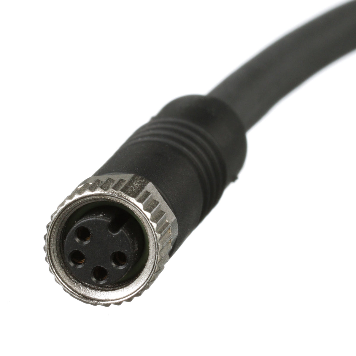 Panduit ICA4E35P2BL2M | Industrial Sensor Cordset | UPC - 61305675428
