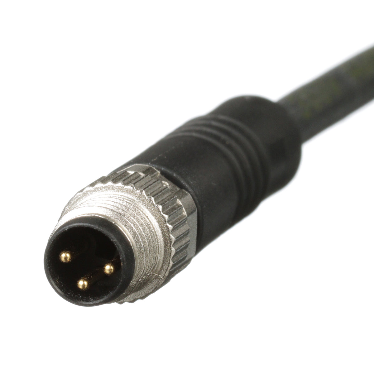 Panduit ICA3E13P2BL10M | Industrial Sensor Cordset | UPC - 61305675447