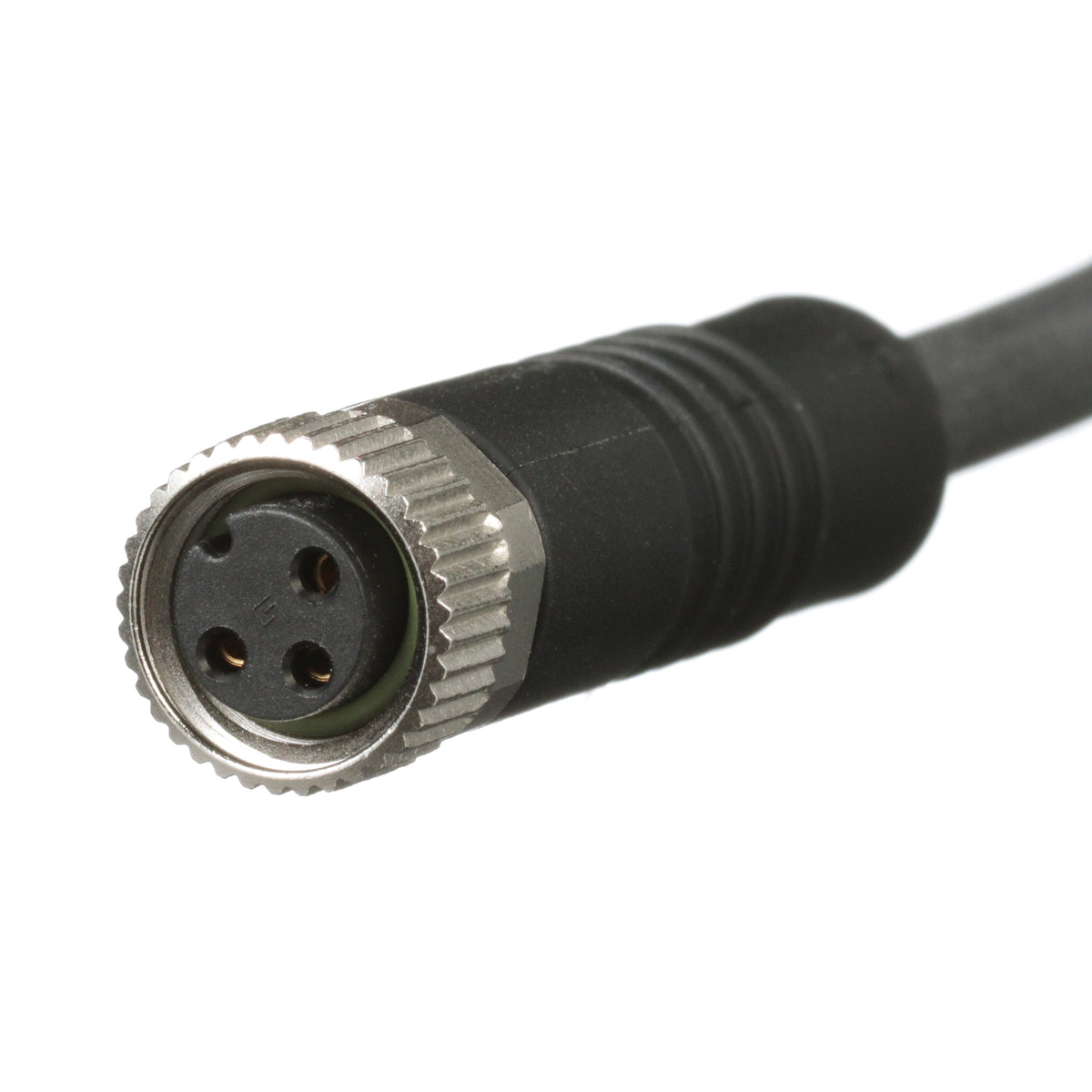 Panduit ICA3E35P2BL5M | Industrial Sensor Cordset | UPC - 61305675423