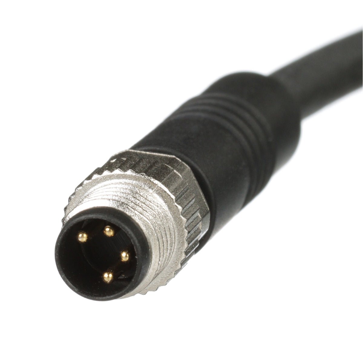Panduit ICA4E15P2BL2M | Industrial Sensor Cordset | UPC - 61305675425