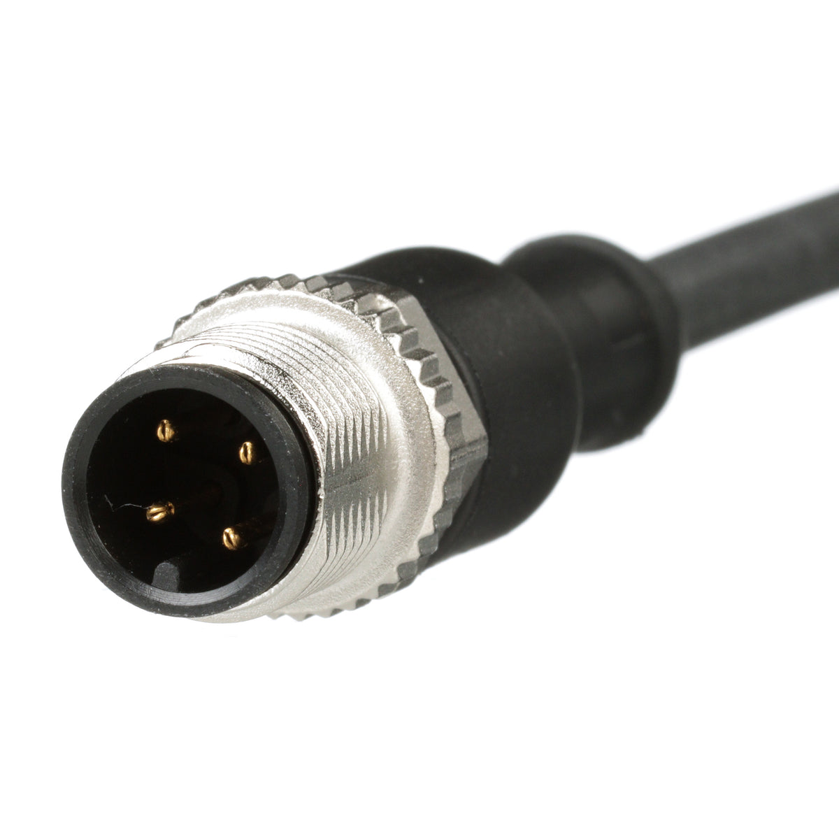 Panduit ICA4T13P2BL5M | Industrial Sensor Cordset | UPC - 61305675456