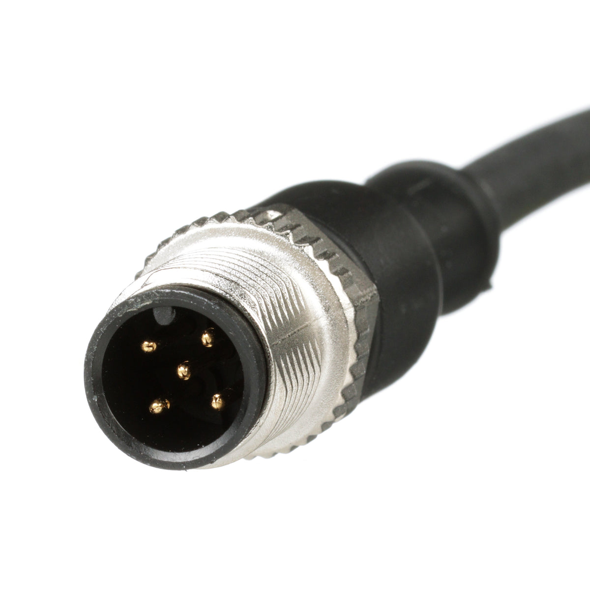 Panduit ICA5T13P2BL5M | Industrial Sensor Cordset | UPC - 61305675461