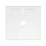 Leviton Manufacturing Co 42080-1WP | Dual-Gang QUICKPORT Wallplate with ID Windows, 1-Port, White