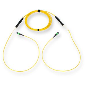 Corning G909012GPNDDU030F | EDGE MTP Trunk