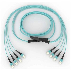 Corning G909024GPNDDU040F | EDGE MTP Trunk
