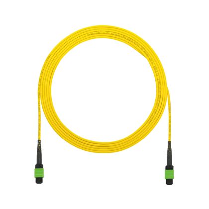 Panduit F9N0505RTPM013 | MTP* 12 Fiber Interconnect Round Cable Assemblies