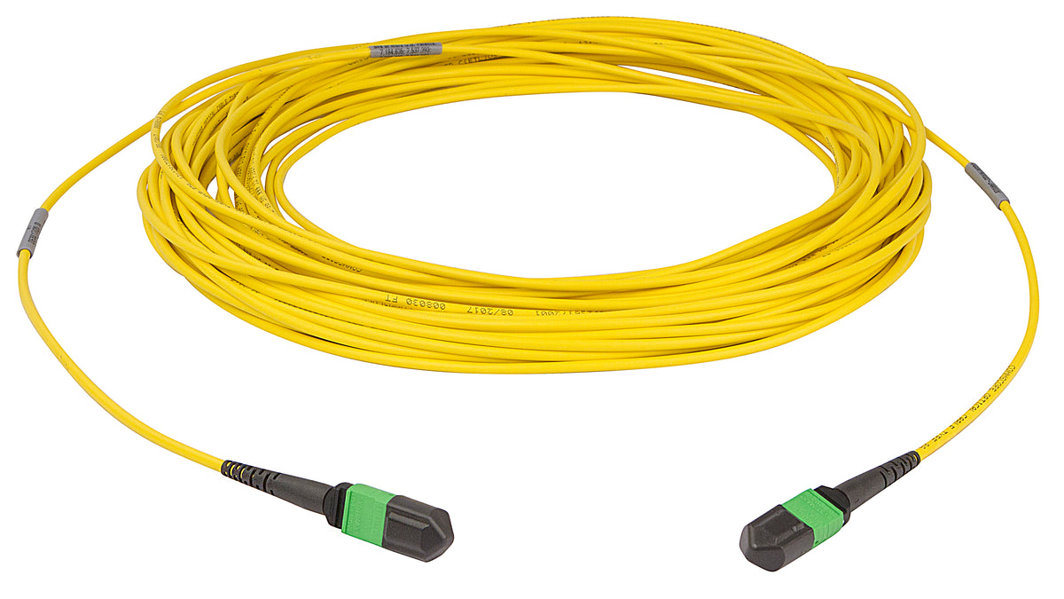 Commscope UGGMXMXAD-JBF042 | 33 inch breakout (end A/end B), with gland, no pulling grip [standard option] | Jacket Color - Yellow, Cord Length - 42 Ft