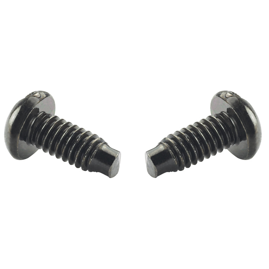 Panduit SCREWM6-C | M6 Mounting Screws, Steel, Black, 100pc.