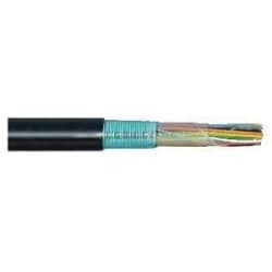 E-020024AAAR - 24-100P EXCHANGE CABLE BKMP