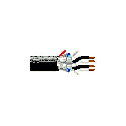 Belden 1055A 0107500 | 16 AWG 2-Pair Str BC, Tray Cable, PVC/Nylon, Foil Shield, 90°C, 600V, Black/White #s
