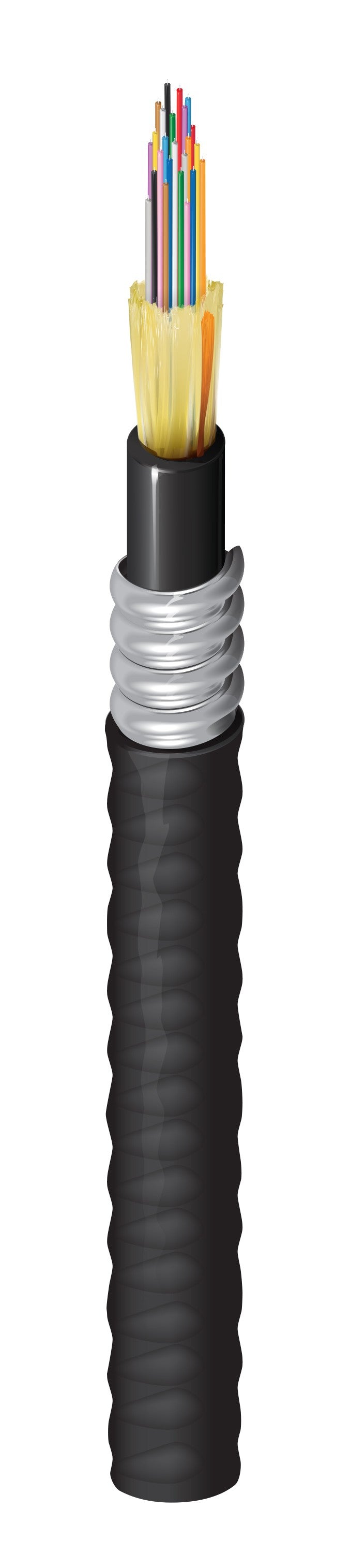 Belden FDSD024F9 | Indoor/Outdoor Riser OS2 Distribution 24Fibers Aluminum Interlocked