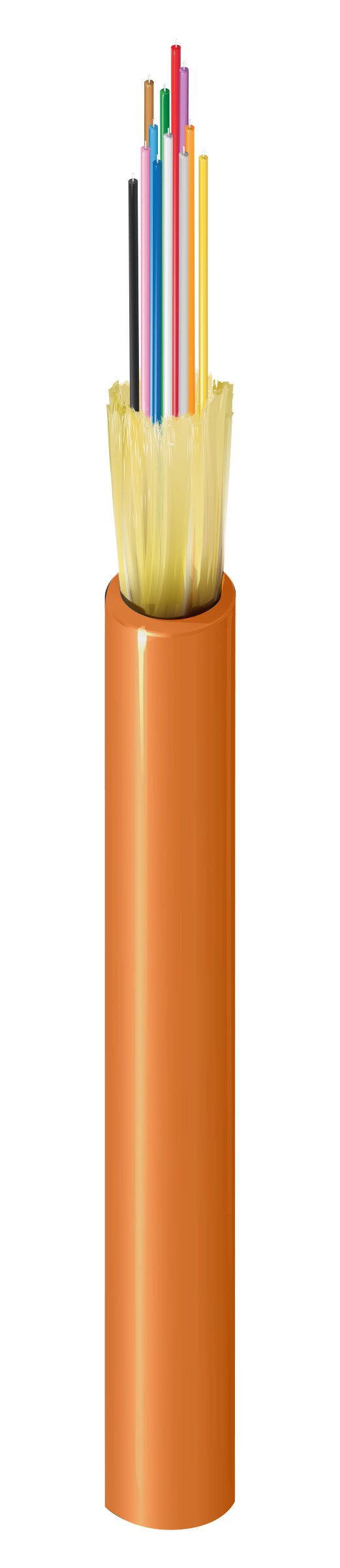 Belden FI1D012R9 | Indoor Riser OM1 Distribution 12 Fibers