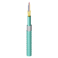 Belden FI4D012A9A | 12-Fiber FX Indoor Tight Buffer Cable, OM4, OFCP, Interlock Armor