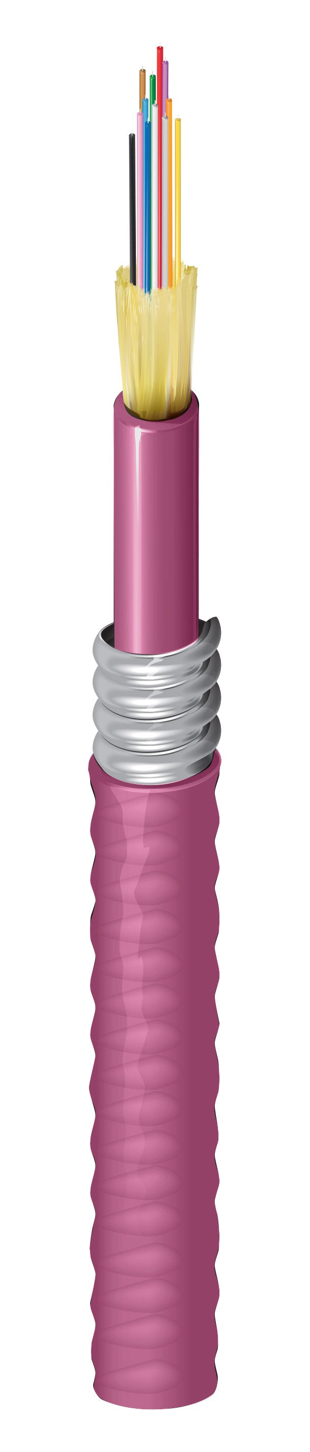 Belden FI4D012F9 | Indoor Riser OM4 Distribution 12 Fibers Aluminum Interlocked