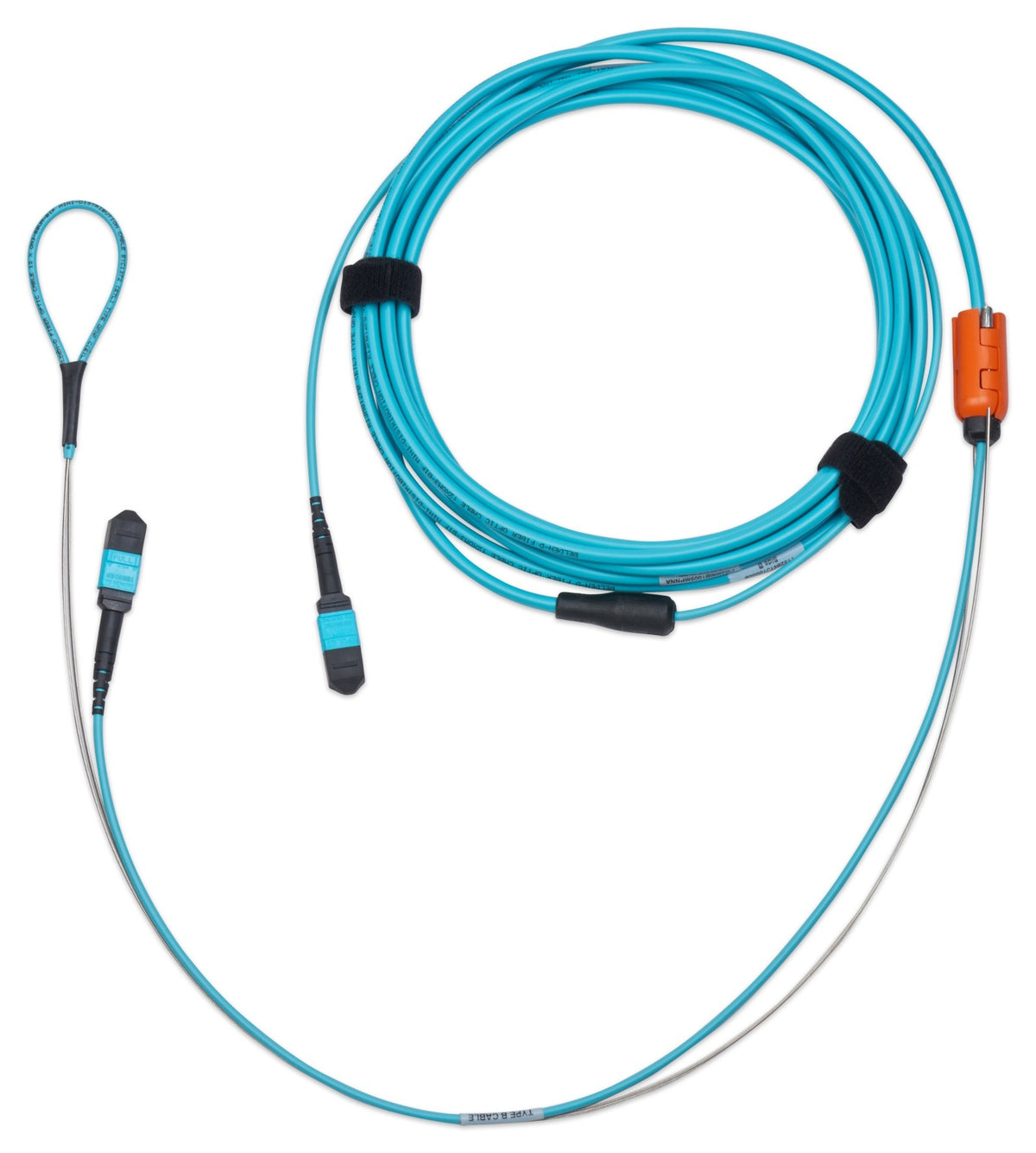 Belden FM3MMB1010M | FX MPO Trunk  Patch Cords OM3 MPO12 Male to Male B 12F 10M