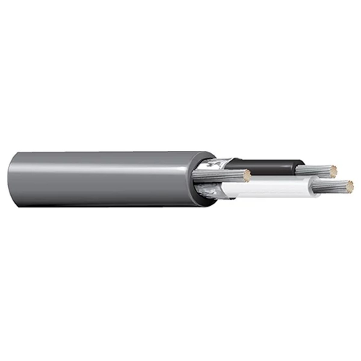 Belden 8718 0601000 | 8718 Series, Multi-Conductor Cable, Polyethylene Insulation, 2-Conductor, 12 AWG, 600V, Chrome, 1000 ft.