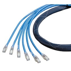 Belden CAF2106035A06 | 10Gx Shielded Cable Assembly, Bonded-Pair, 4-Pair, 6-Cable, 23 Awg, Solid