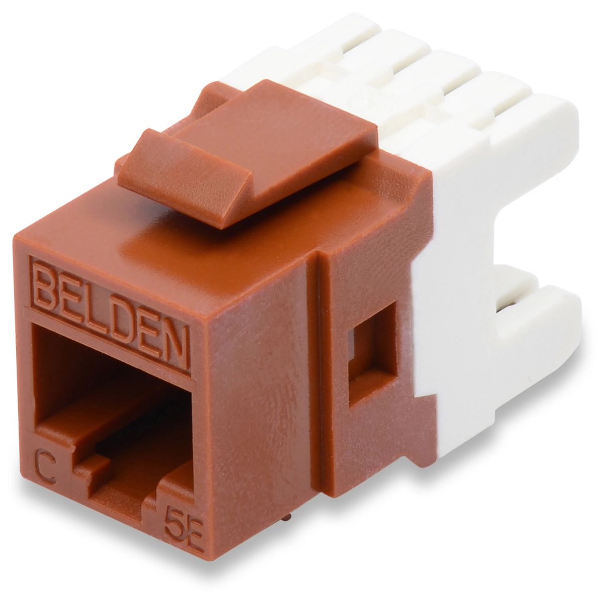 Belden AX104186 | Style Cat 5e Modular Jack, Blue
