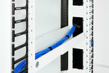 Chatsworth 38648-E03 | Front-To-Rear Cable Manager for ZetaFrame Cabinet