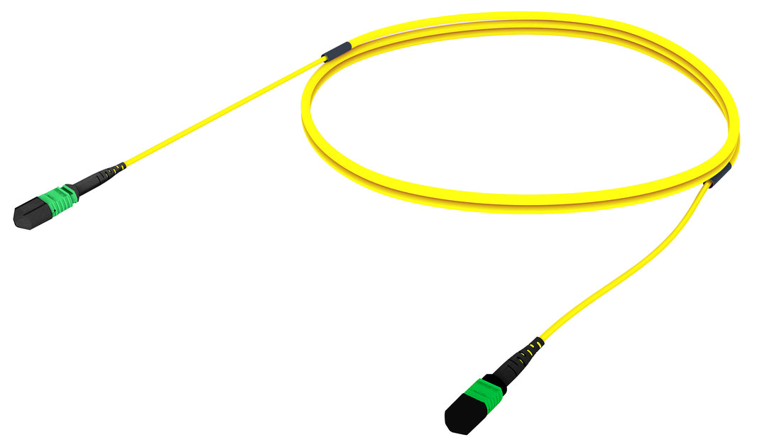 CommScope AQGMPMPGDJAM002 | Singlemode MPO12 (Unpinned) to MPO12 (Unpinned), Fiber Patch Cord, 12-Fiber, Method A, Plenum