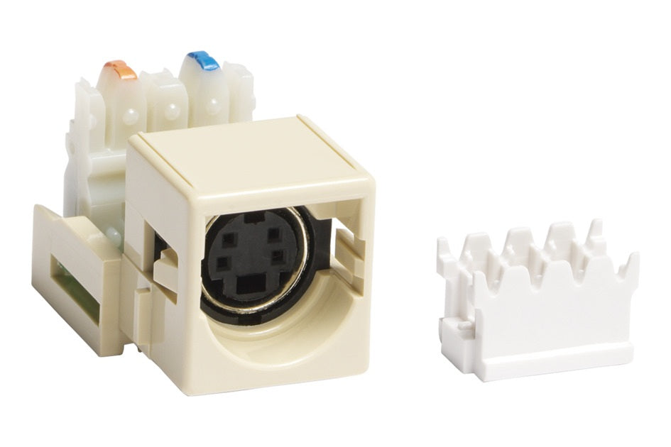 CommScope M81SVHS110246 | Module, Multimedia Outlet, S-Video to 110 Punch Done, Ivory