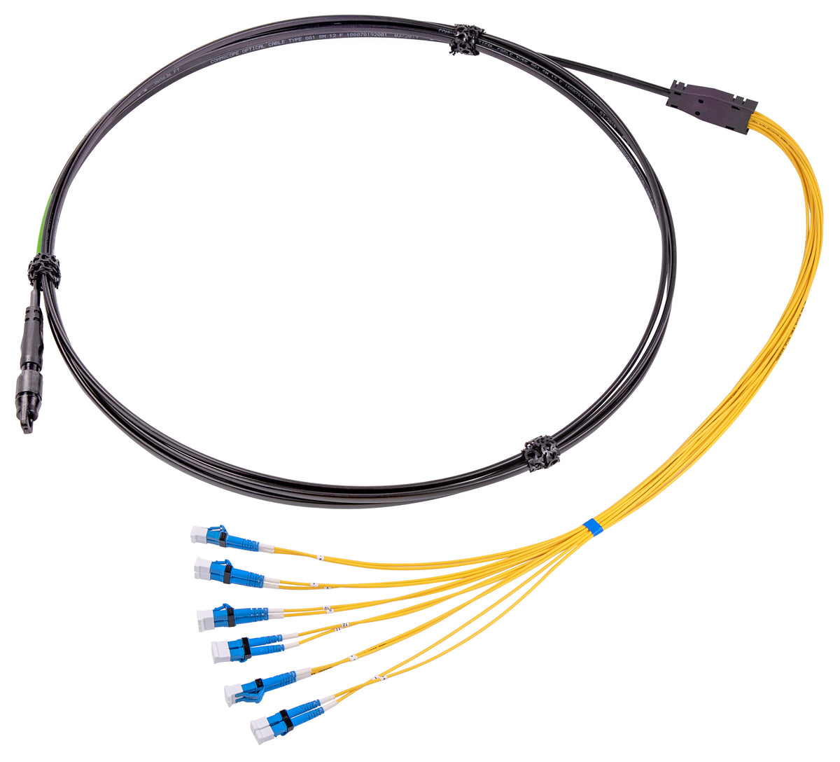 Commscope MHD-ACC-M12J | Fiber Test Cable Assembly, HMFOC Jack/Pinned/Male to 12 SC/APCs, 3 Feet