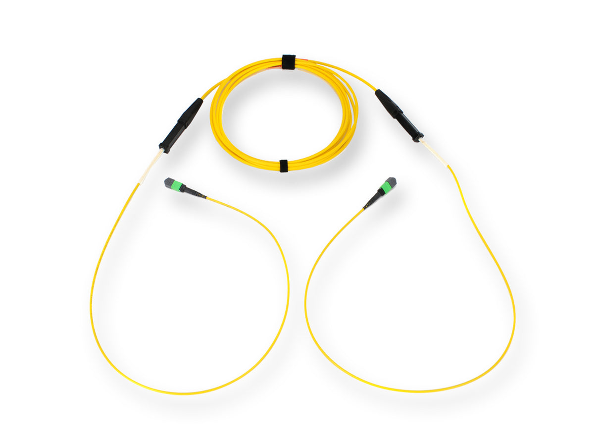 Corning G909012GPNDDU080F | EDGE MTP Trunk