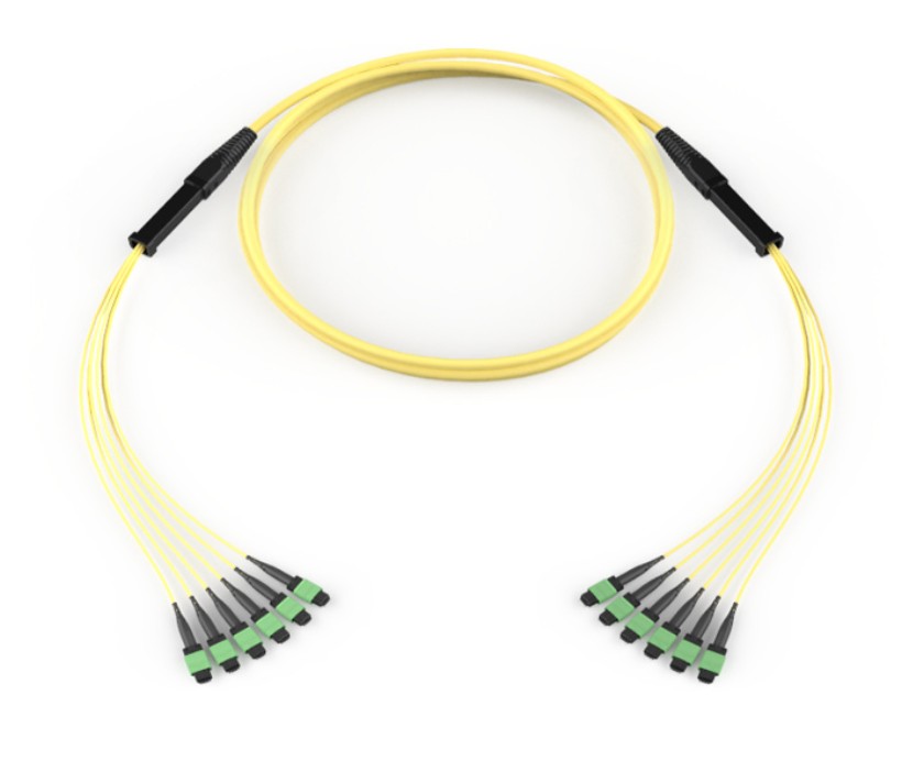 Corning GE7E748GPNDDU06 | EDGE8 MTP Trunk Universal, OS2 48F, Distribution Non-armored Indoor Plenum Cable, MTP 8F Pinned 33 in Legs to MTP 8F Pinned 33 in Legs, Grip: One End, 66 Feet