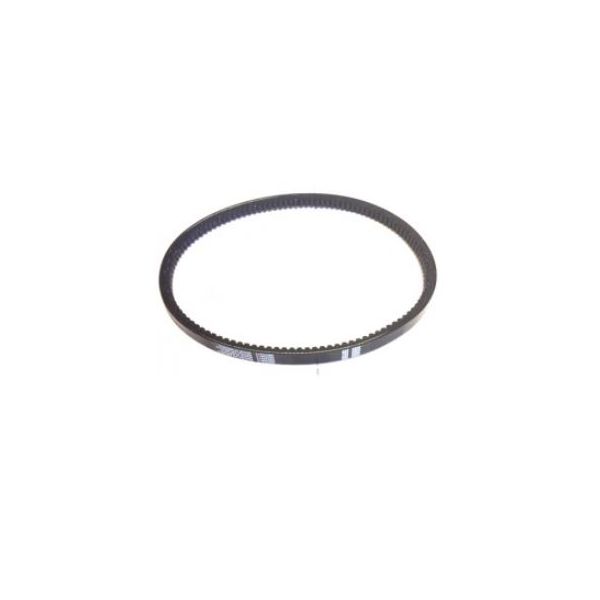 Doorking 1603-011 | Belt 25.2 Cogged