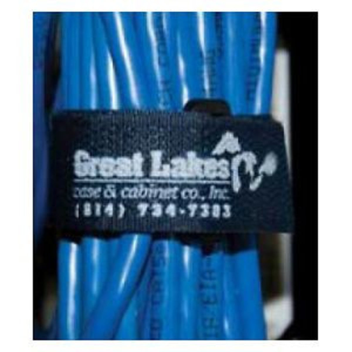 Great Lakes Case & Cabinet Co CM-01 | Cinch Strap With Buckle and Grommet, 12 Inch L X 3/4 Inch W, Blue