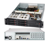 Inaxsys Security Systems 2U-IPS-RAID5-8T | Inaxsys 2U Rackmount IP Server with RAID5, Removable Drives, 8000 GB Hard Drive (6TB Usable)