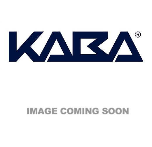 Kaba 201907-000-10 | Tamper-Resistant Spanner Screw