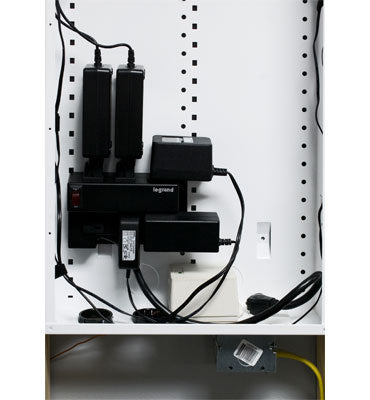 Legrand AC1031 | Enclosure Power Strip Module, Half Width, 125 Volt AC, 15 Ampere, 6.4" Width x 2.5" Depth x 3.9" Height, PVC, Black