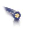 Legrand C2G 40605 | 50ft Velocity 3.5mm M/M Stereo Audio Cable