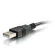 Legrand C2G 52119 | 6 inch USB 2.0 A Male to A Female Extension Cable