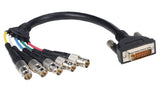 Liberty AV E-DVI/A-5BNCF-6 | 6" Premium Molded DVI Analog to 5 BNC Female Cable