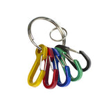 Lucky Line Products 45901 | Mini ID Clip Key Chain