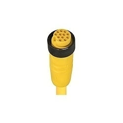 Lumberg Automation 500002604 | Cord Set, 18 AWG, Mini Female Straight Connector, 20 ft. L