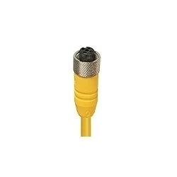 Lumberg Automation 600005447 | Actuator/Sensor Cordset, 6 ft. L, Unshielded, Blue