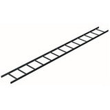 Middle Atlantic CLB10W24 | Cable Ladder, 119"., 24"W