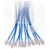 Ortronics EZFPR605Q24-06 | EZ PATCH, Patch Cord, Blue, Cat 6, 5 Ft. L, RJ-45