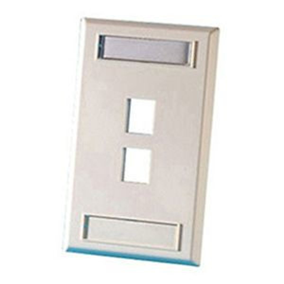 Legrand - Ortronics KSFP2 | TechChoice Plastic Faceplate, 1-Gang, Two Keystone Jack or Module, Fog White