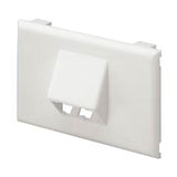 Panduit T70FH2IW | Snap-on Horizontal Sloped Communication Faceplate, 2 Position, Off White