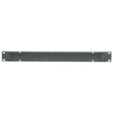 Panduit BR1B | Blanking Panel with Brush Seal Pass-Through 1 RU, Black