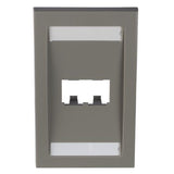 Panduit CFPE2IGY | Faceplate, 2 Port, Single Gang, Executive, International Gray