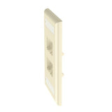 Panduit CFPL4EIY | Faceplate, 4 Port, Single Gang, Classic, Electric Ivory