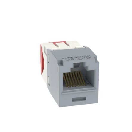 Panduit CJ5E88TGIG-24 | Mini-Com Utp Rj45 Cat 5E Tg Jack Module, Int'L Gray, 24 Pack
