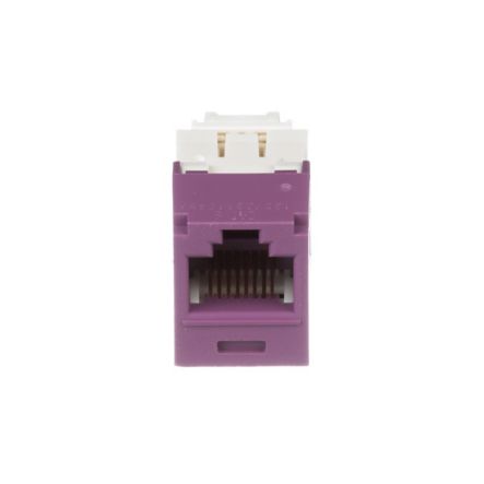 Panduit CJ688TGVL-24 | Mini-Com UTP RJ45 Cat 6 TG Jack Module, Violet