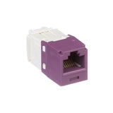 Panduit CJ688TGVL-24 | Mini-Com UTP RJ45 Cat 6 TG Jack Module, Violet