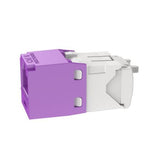 Panduit CJ688TGVL | Mini-Com Module, Category 6, UTP, 8-Position 8-Wire, Universal Wiring, Violet, TG Style